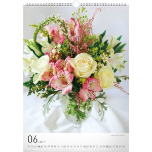 Falinaptr Bouquets 2024, 33  46 cm (naptr)