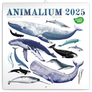 Lemeznaptr Animalium 2025, 30 x 30 cm (naptr)